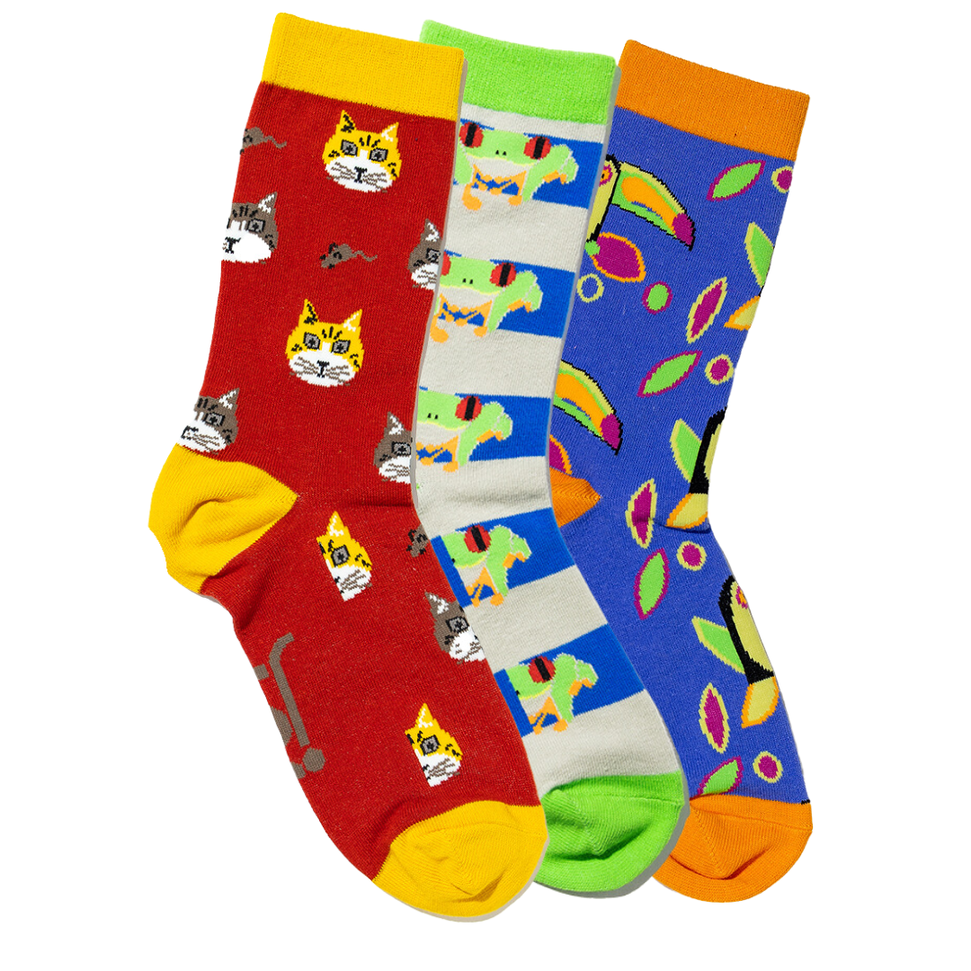 3 Pack Animal Socks – Jolly Soles