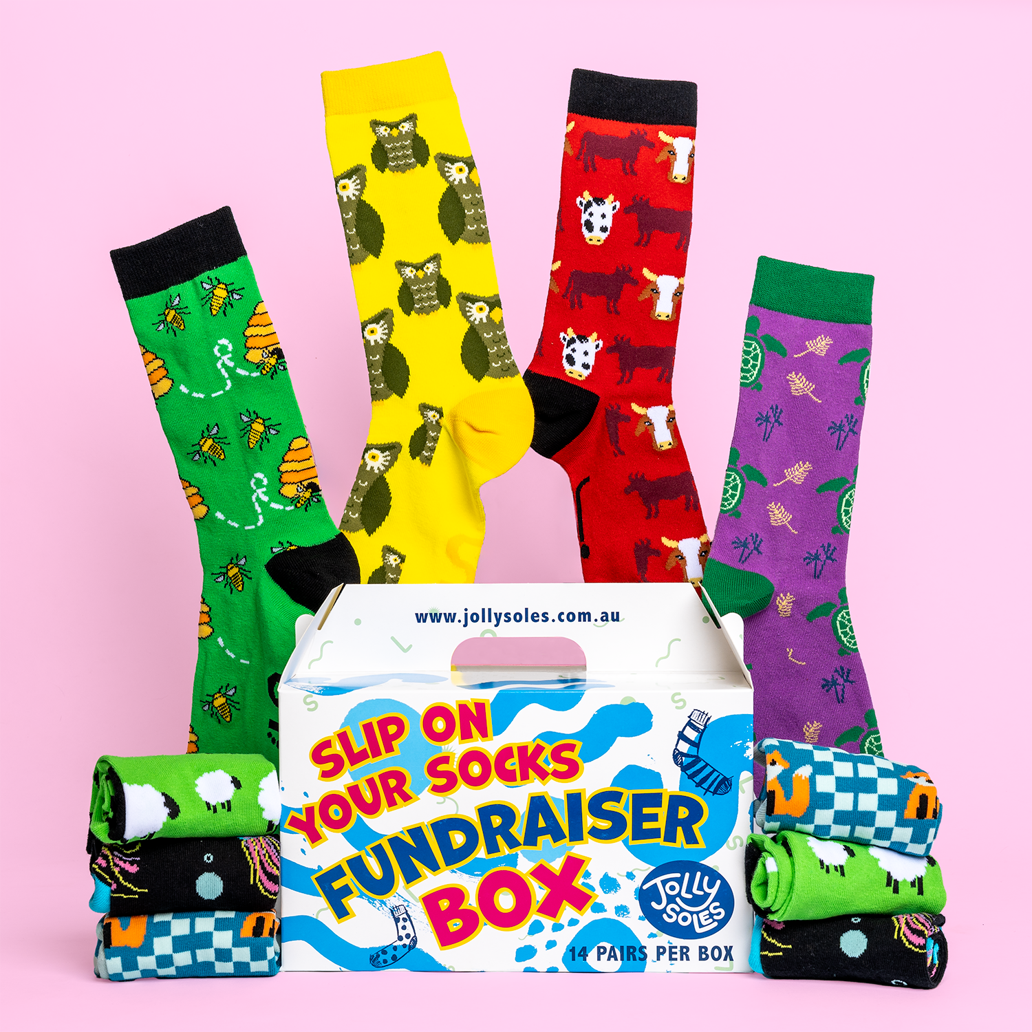 Animal_Sock Fundraiser Box Jolly Soles