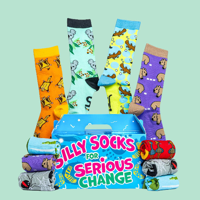 Aussie Animal Fundraiser Sock Box