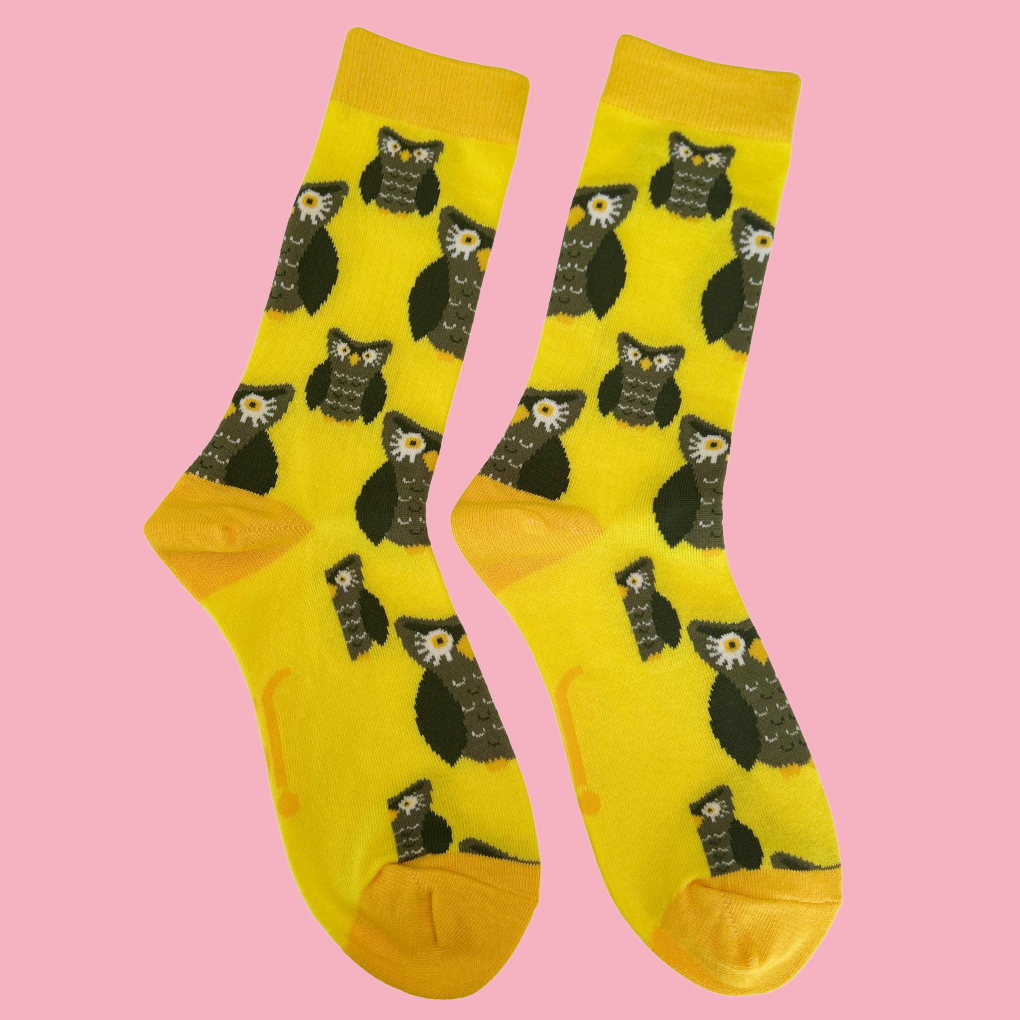 DaddyandMeMatchingSets-OwlSocksFullView Jolly Soles