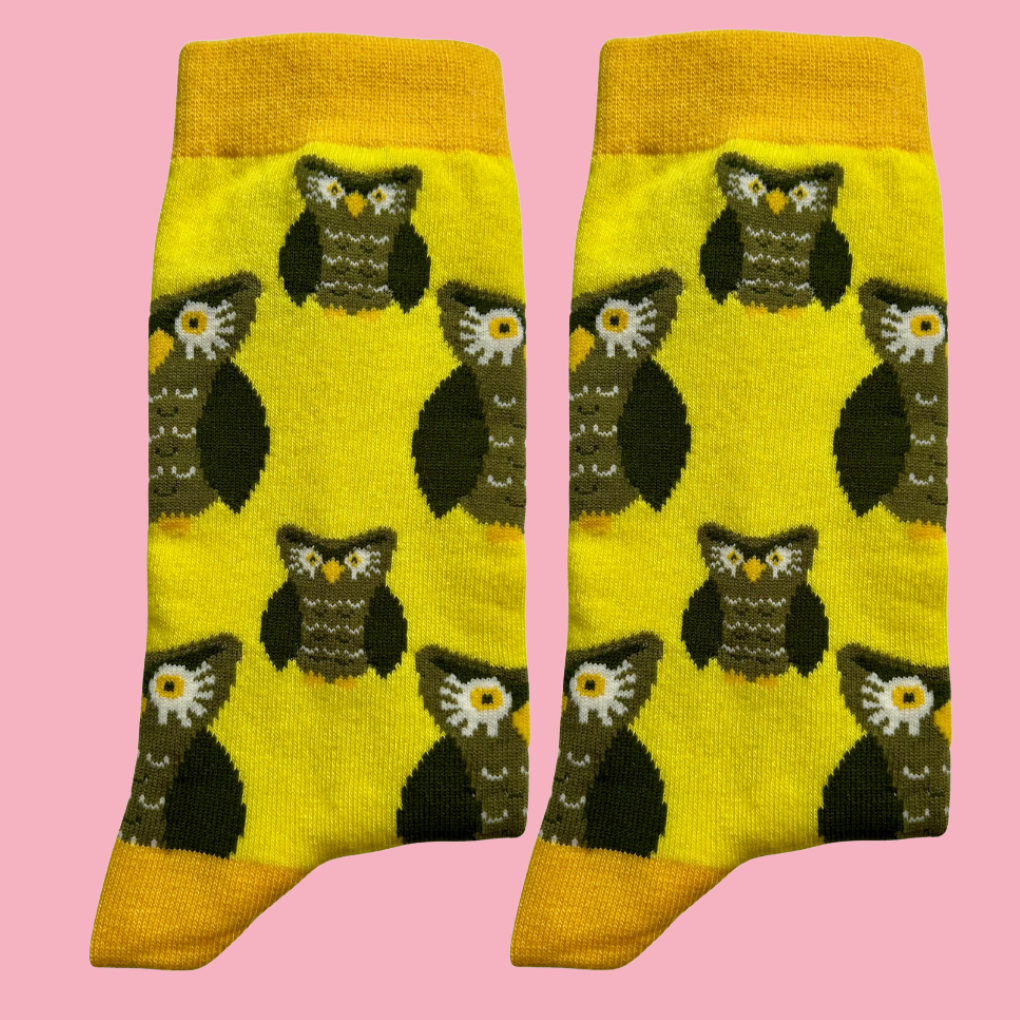 DaddyandMeMatchingSets-OwlSocks Jolly Soles