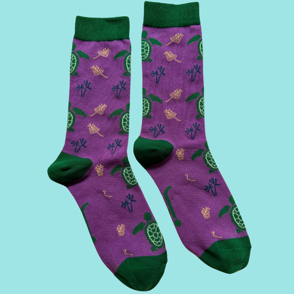 DaddyandMeMatchingSets-TurtleSocks Full Length View Jolly Soles