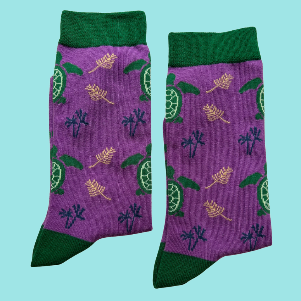 DaddyandMeMatchingSets-TurtleSocks