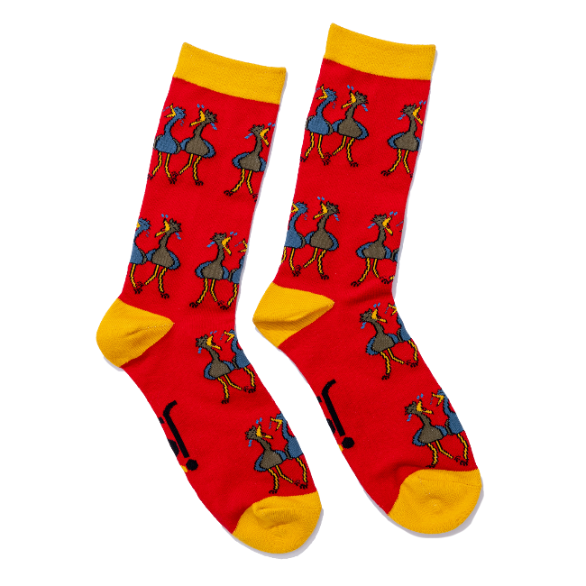 Jolly Soles Emu Socks Full Length View