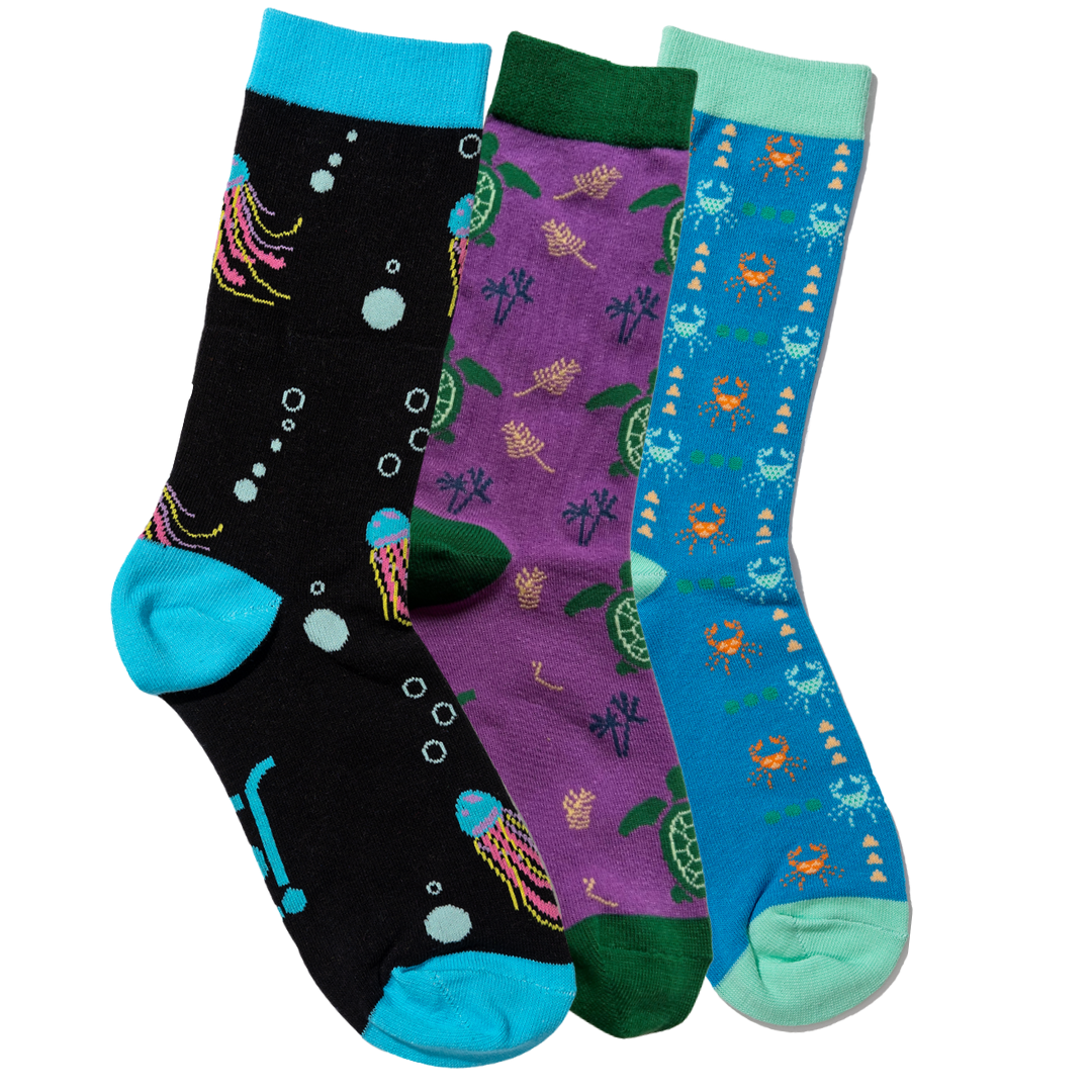 Jolly Soles 3 pair of socks with an ocean theme