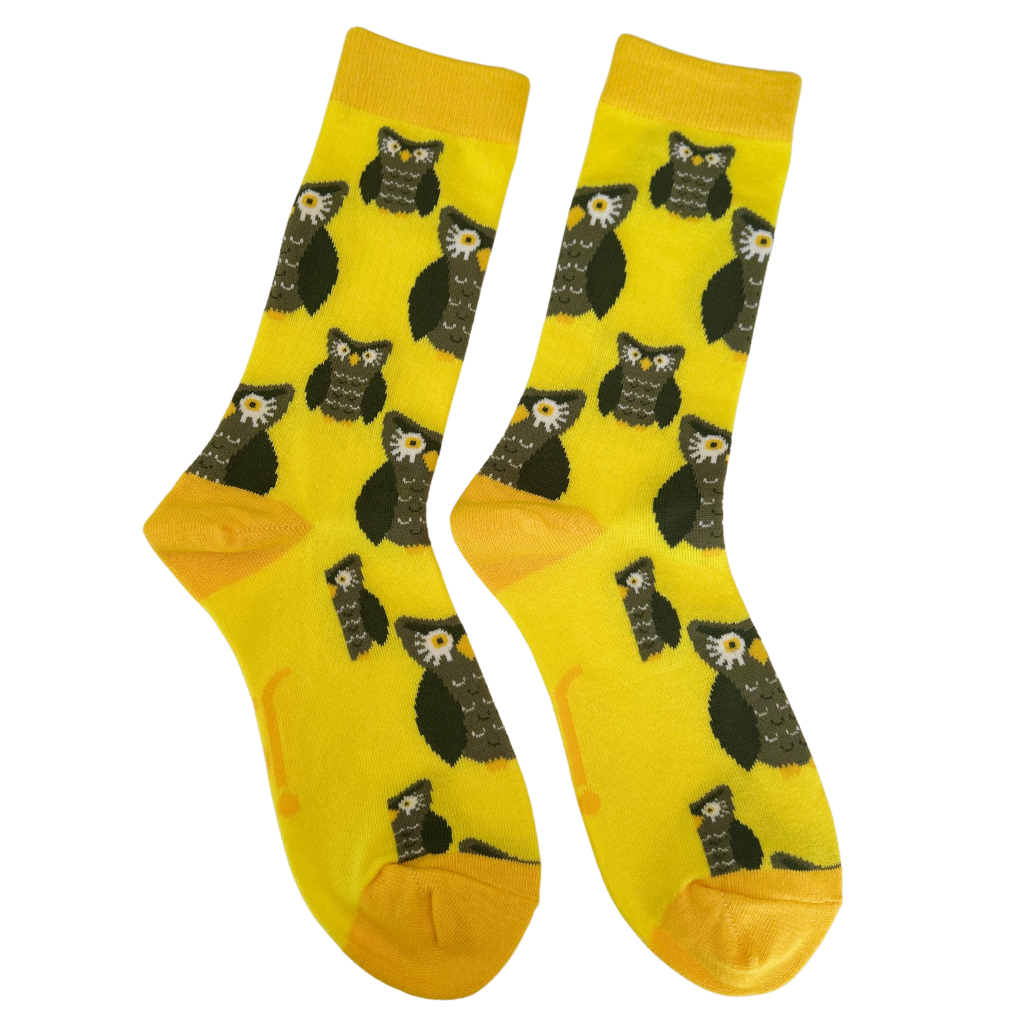 Jolly Soles Owl Socks - full length view