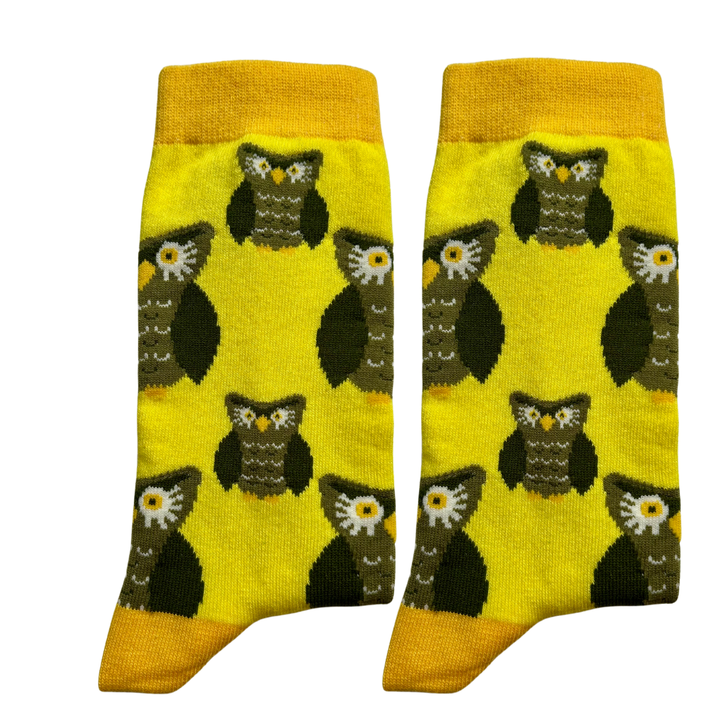 Jolly Soles Owl Socks