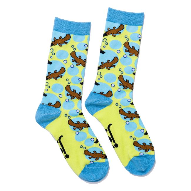 Jolly Soles Platypus Socks Full Length View