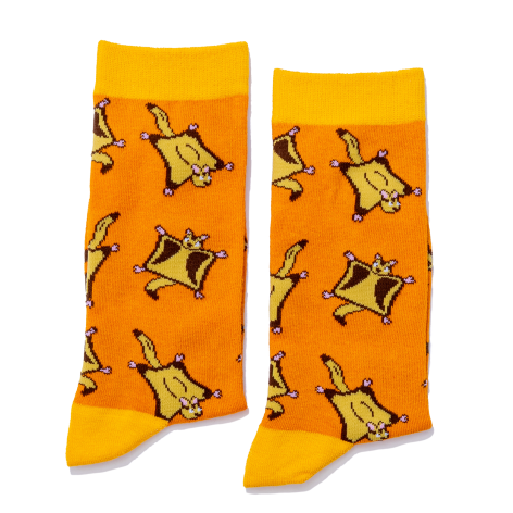 SugarGlider_Folded Sock