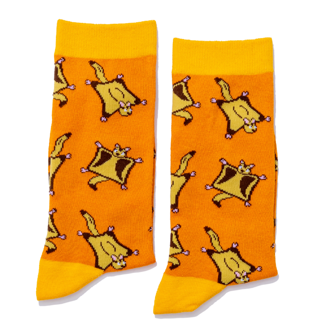 Jolly Soles Sugar Glider Socks