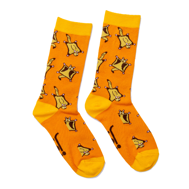 Jolly Soles Sugar Glider Socks Full Length View