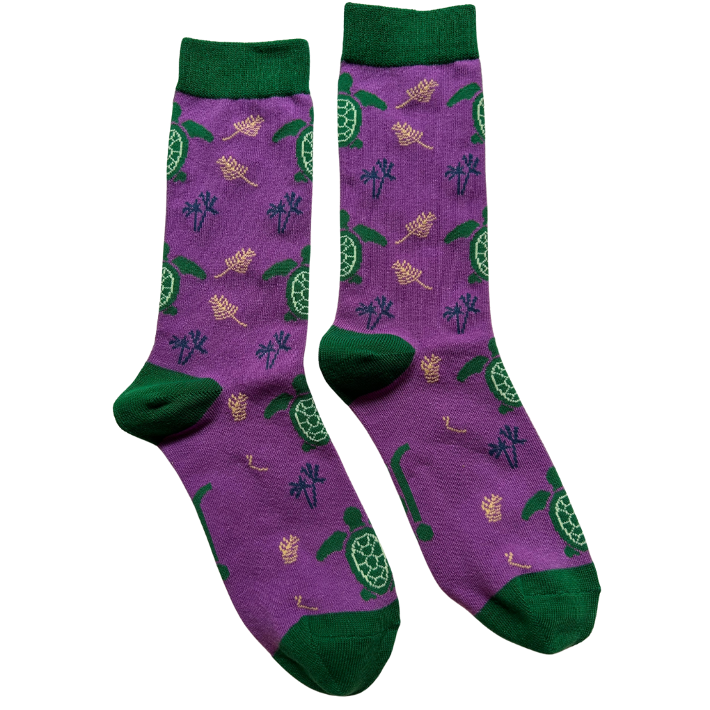 TurtleSocksFullLengthView Jolly Soles