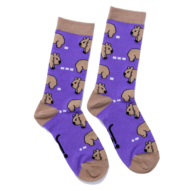 Jolly Soles Wombat Socks Full Length View
